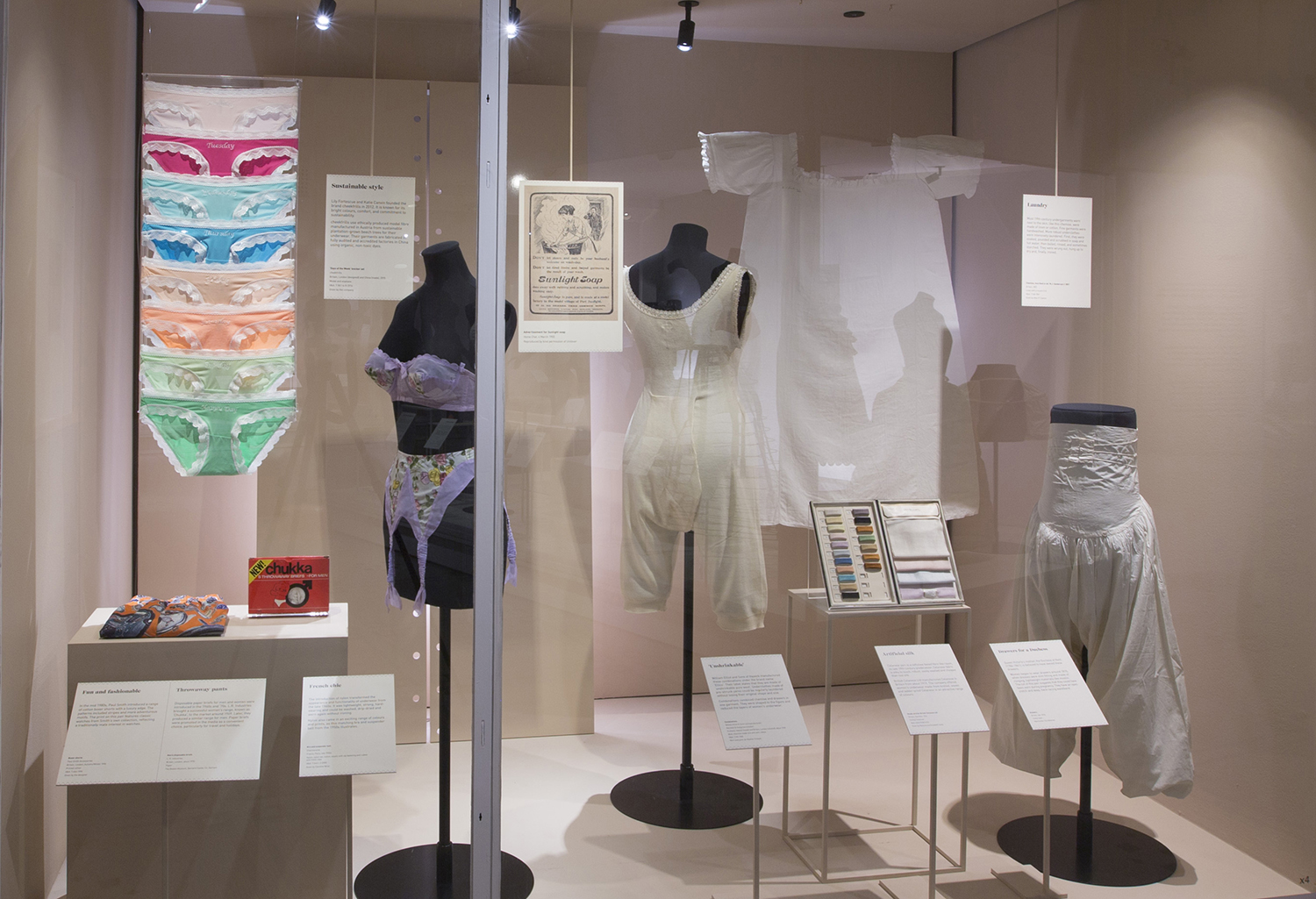 A Brief History of Underwear, South Lake Tahoe Library